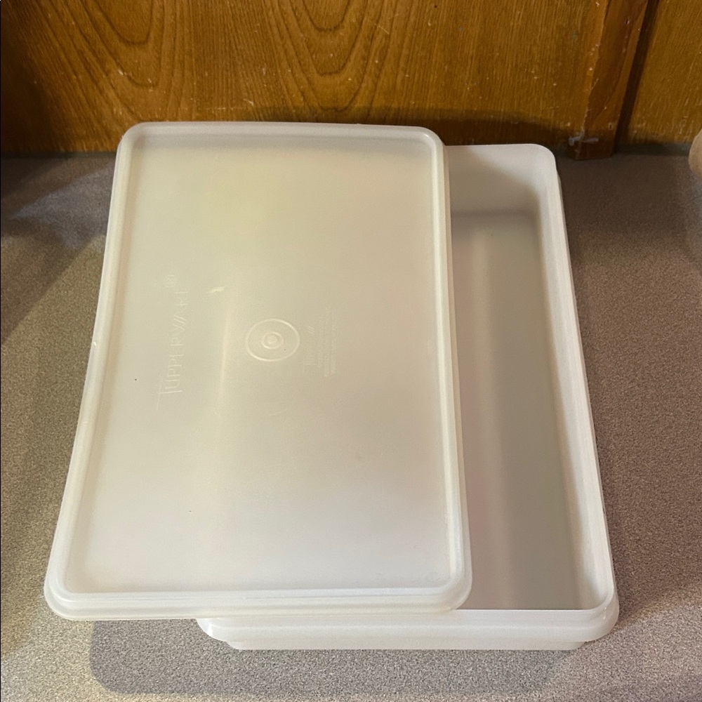 Vintage Tupperware Bacon Deli Meat Keeper